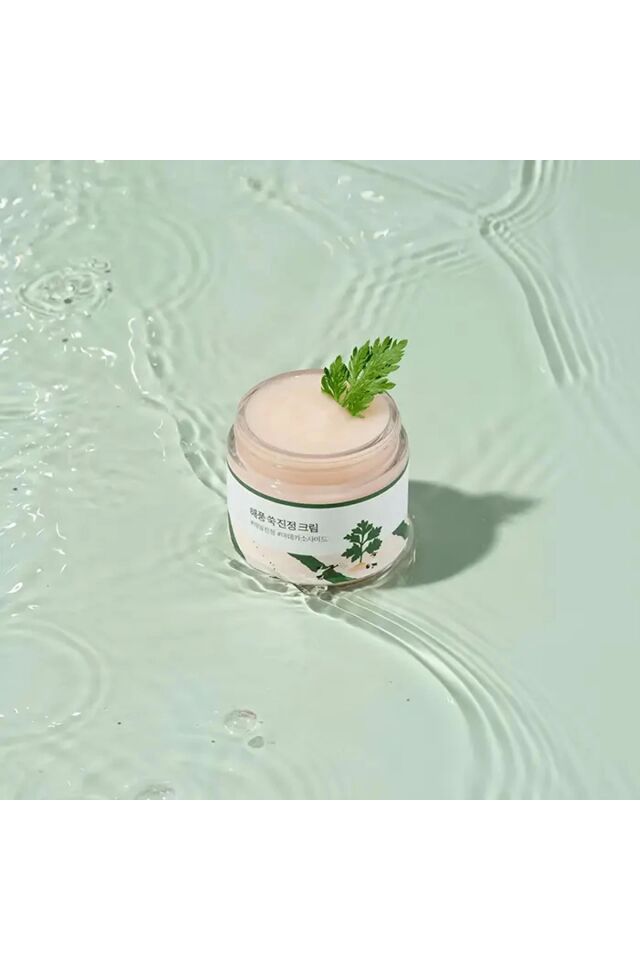 Mugwort Özlü Sakinleştirici Toksinlerden Arındırıcı Nemlendirici Krem 80 ml