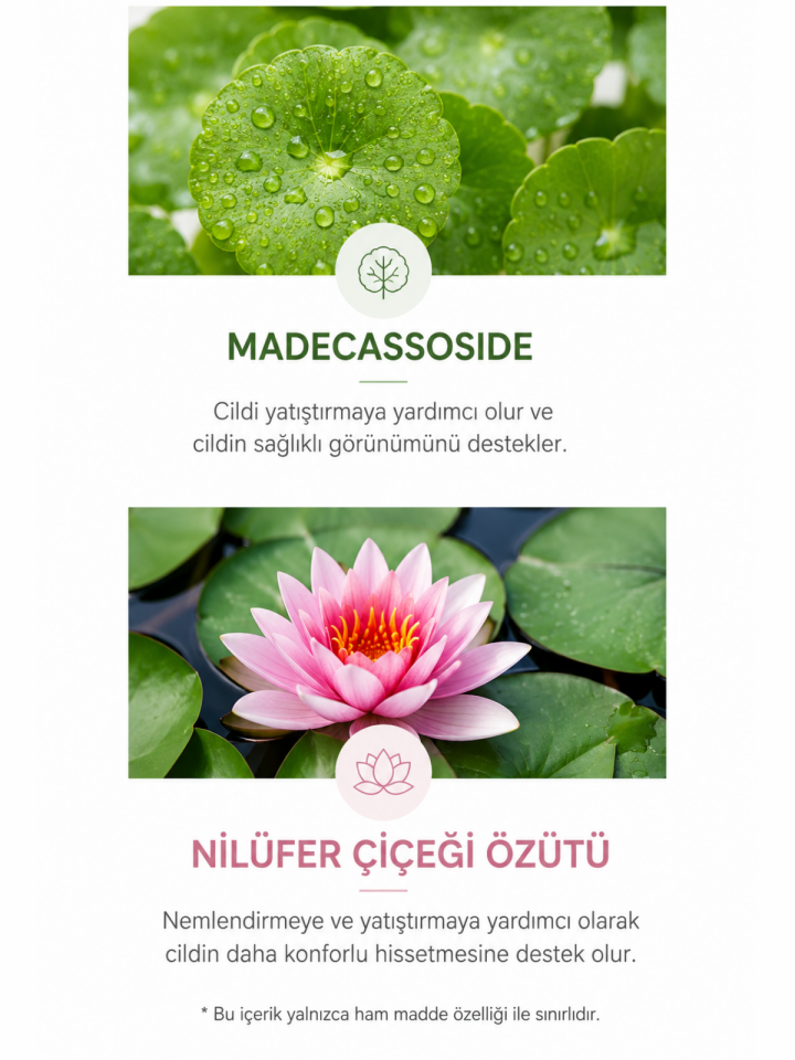 Scinic The Simple Light Cleansing Oil 150ml Hafif Yapılı Vegan Yüz Temizleme Yağı 150ml